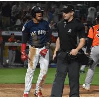 Somerset Patriots' Jeisson Rosario in action