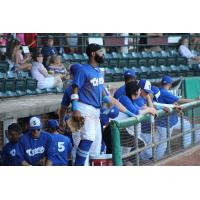 Evansville Otters in the dugout on gameday