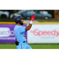 Victoria HarbourCats on the field