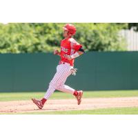 Ottawa Titans' Ty Greene in action