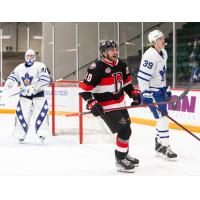 Belleville Senators forward Matthew Wedman