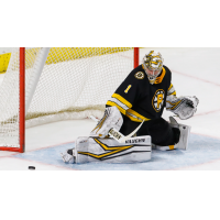 Goaltender Troy Grosenick with the Providence Bruins