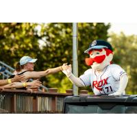 St. Cloud Rox mascot Chisel greeting fans