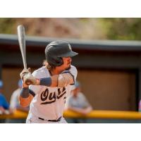 Northern Colorado Owlz at bat