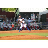 Evansville Otters in action