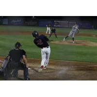 Tri-City Dust Devils vs. Everett AquaSox