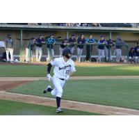 Tri-City Dust Devils' Mike Peabody