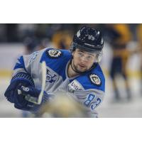 Jacksonville Icemen forward Brendan Harris