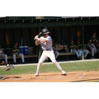 Vermont Mountaineers' Evan Fox at bat