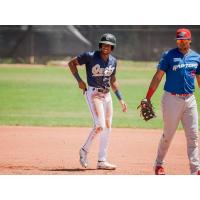 Northern Colorado Owlz vs. Ogden Raptors