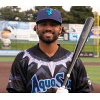 Everett AquaSox Black Panther jersey