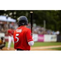 Ethan Mann of the St. Cloud Rox