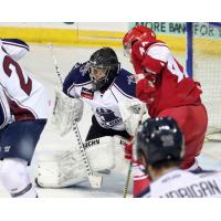 Zane Franklin on the ice for the Allen Americans against the Tulsa Oilers