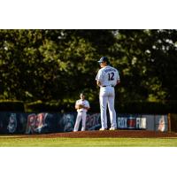 St. Cloud Rox pitcher Joe Brandon