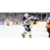 Brendan Hoffman on the ice for the Erie Otters in the OHL