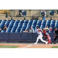 Rome Braves in action