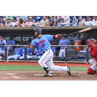 Bubba Hollins of the Pensacola Blue Wahoos