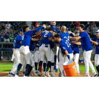 Tulsa Drillers Celebrate Win