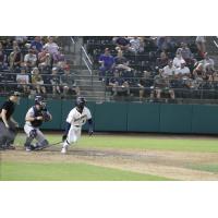 Tri-City Dust Devils in action