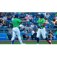 Tulsa Drillers' Ismael Alcantara congratulated by teammate