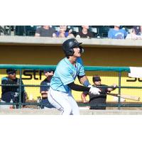 Shane Sasaki of the Charleston RiverDogs