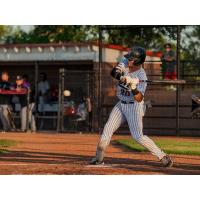 Northern Colorado Owlz' Ty Lewis at bat