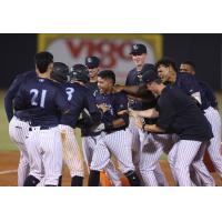 Tampa Tarpons celebrate walk-off