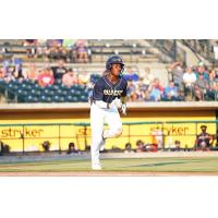 Charleston RiverDogs in action