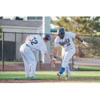 Northern Colorado Owlz outfielder Abdel Guadalupe (right) received a low five while circling the bases