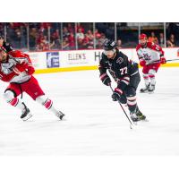 Forward Stephen Baylis with the Rapid City Rush