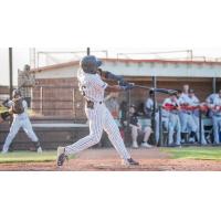 Northern Colorado Owlz infielder Brandon Crosby takes a swing