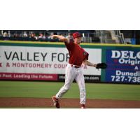 Clearwater Threshers infielder Matt Alifano