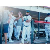 Northern Colorado Owlz on game day