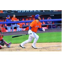 Daniel Palka of the Syracuse Mets in action