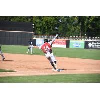 Tommy Sacco of the Fayetteville Woodpeckers