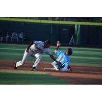 Quad Cities River Bandits' Ramiro Rodriguez in action