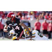 Calgary Stampeders wide receiver Reggie Begelton