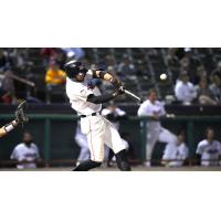 Tri-City ValleyCats at bat