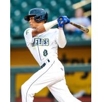 Columbia Fireflies' Yeudi Advincola at bat