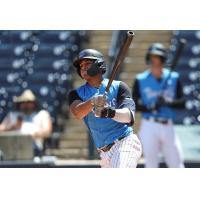 Raimfer Salinas of the Tampa Tarpons