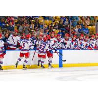 Kitchener Rangers celebrate win