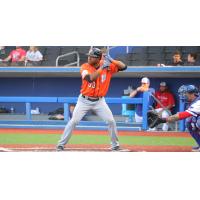 Alejandro De Aza of the Long Island Ducks at bat