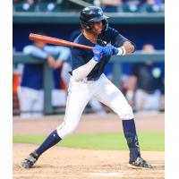 Columbia Fireflies' Daniel Vazquez At Bat