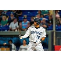 Outfielder Jasson Dominguez with the Hudson Valley Renegades