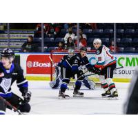 Kelowna Rockets battle the Victoria Royals