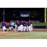 Rome Braves celebrate win