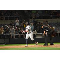 Andres Chaparro of the Somerset Patriots in action