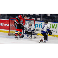 Victoria Royals versus Kelowna Rockets