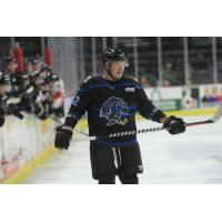 Kristaps Nimanis with the Quad City Storm