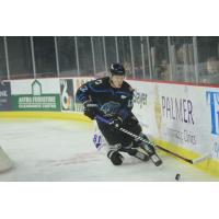 Kristaps Nimanis with the Quad City Storm